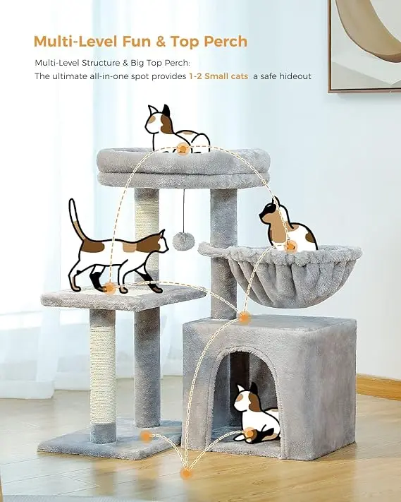 wholesale 73cm Small Cat Tree for Indoor Cats activity Tree with Cat Scratching Posts