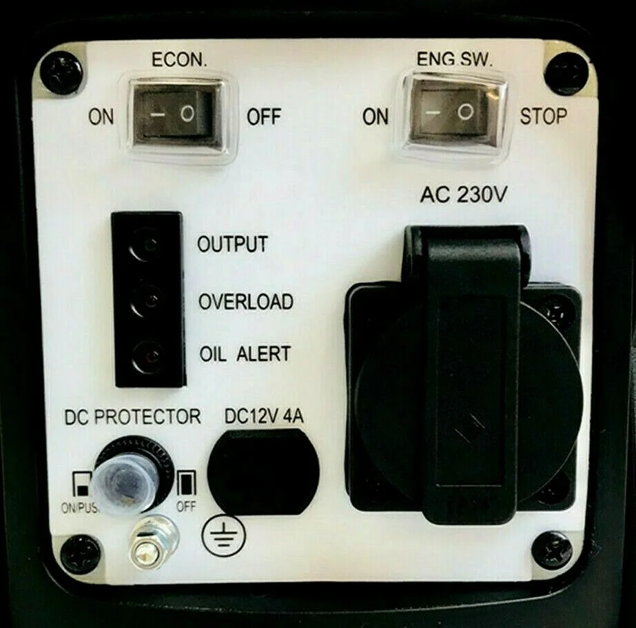 
Custom Color 950W 12V 240V 4 Stroke Portable Digital Inverter Generator For Sale 