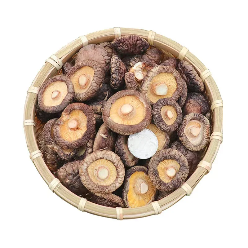 Selected mushroom  high quality dried  shiitake mushroom