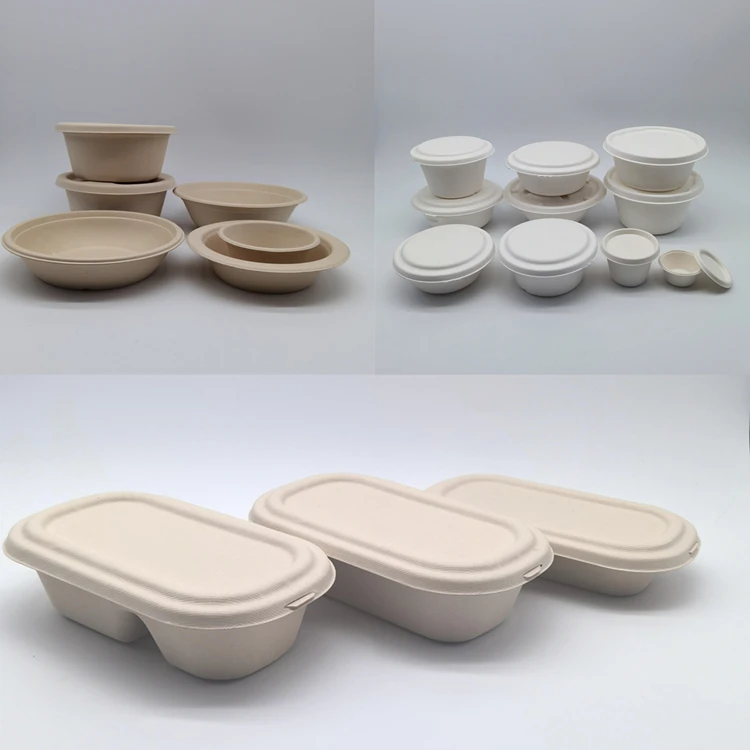 Sugarcane Bagasse Pulp Round With Lid Biodegradable Tableware Salad Bowls Food Safe