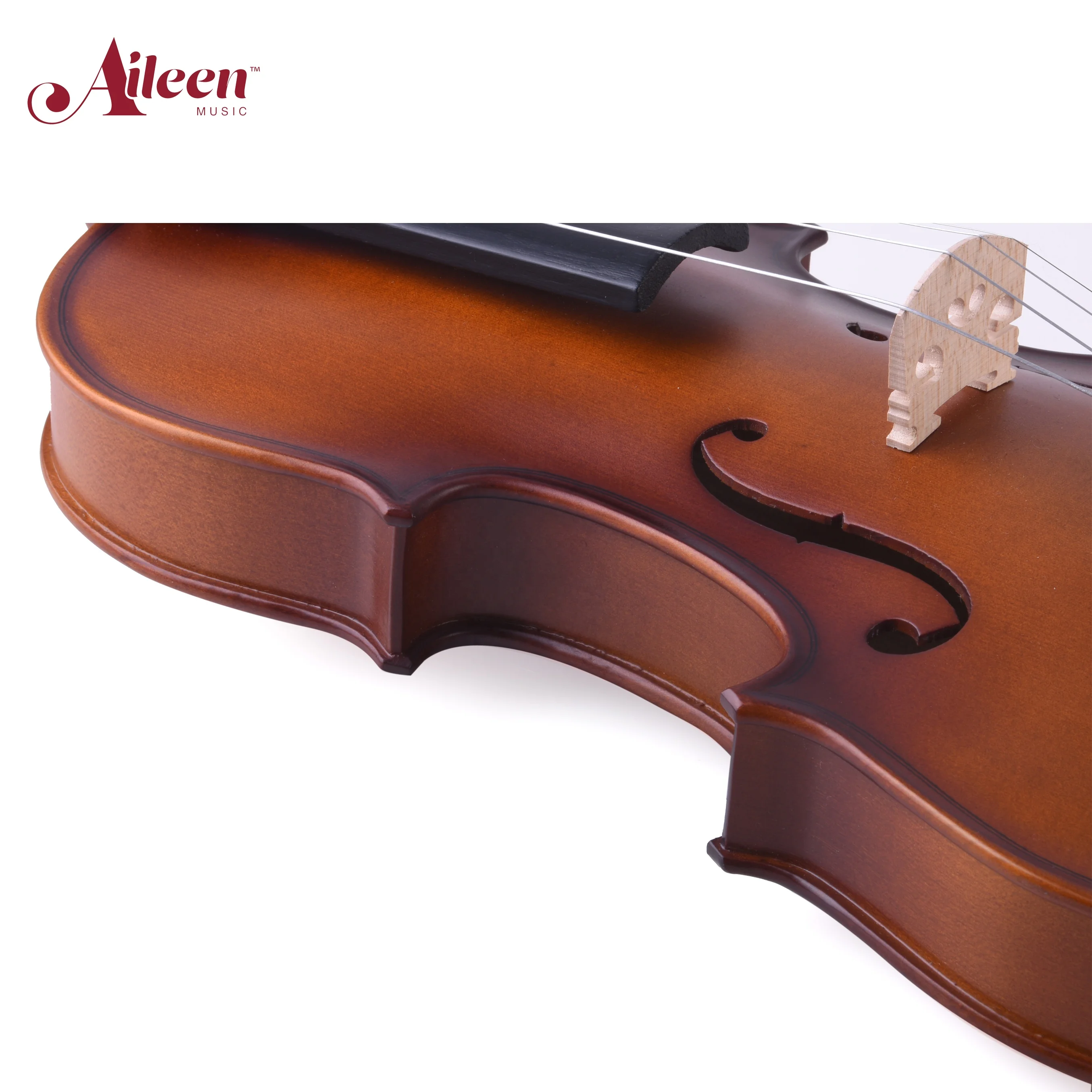 Aileen Student Handmade Solid Wood Starter 4/4 Full Size Violins Kit