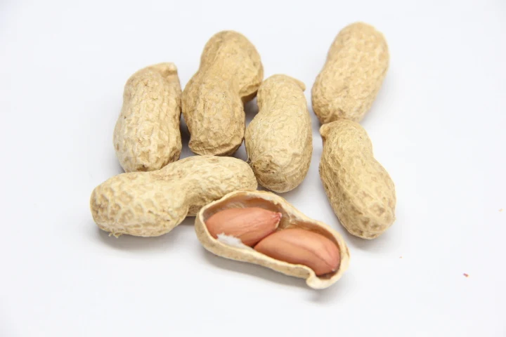 Ground Nut red skin Peanut,Raw Shelled Peanut,Fresh Peanuts