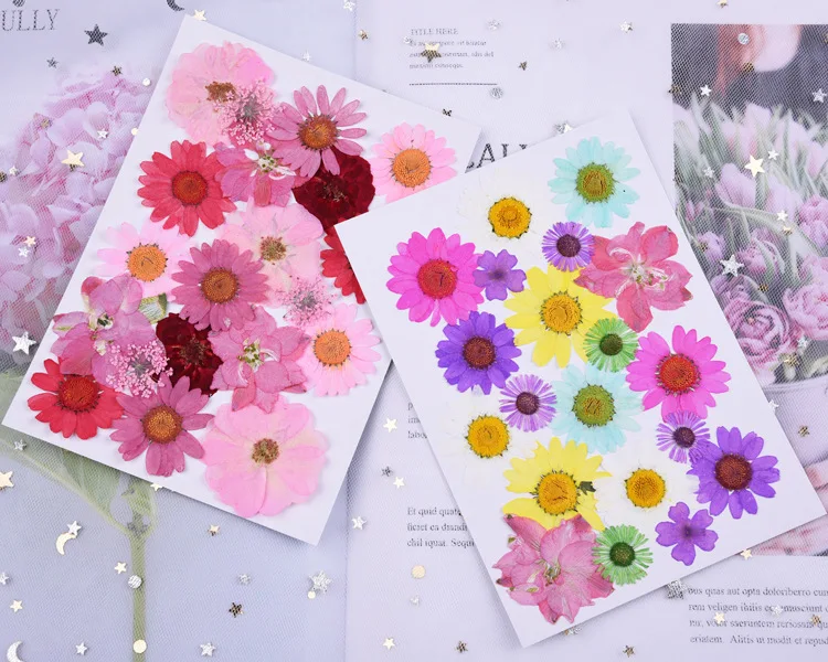 Beautiful Multiple Real Pressed Leaves Natural Dried Flowers for Art Craft Scrapbooking Card Making Resin Jewelry Craft DIY