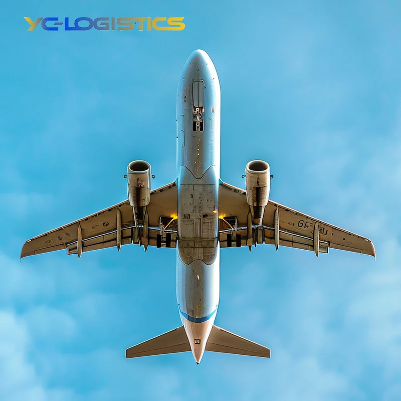 Freight forwarder service DHL UPS China to Canada turkey usa south africa United States Australia Italy uae with ultra low price