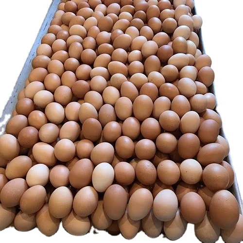 Оптовая продажа куриных Столовых Яиц цена/лучшие яйца лучшее качество фермы свежие куриные столовые яйца для потребления человеком