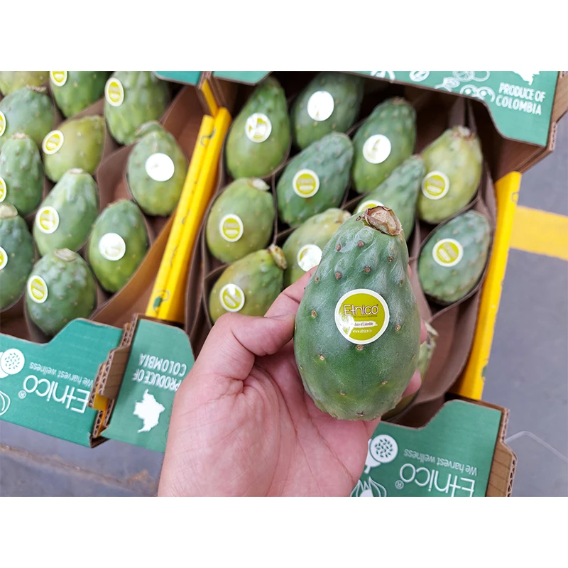 Big Sale Cactus Fig Cactus Pear Pricky Pear Fresh Fruit Supplier