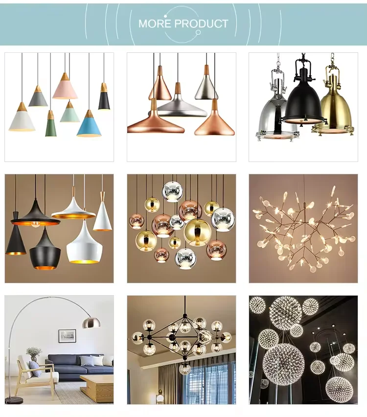 Ralated Products.jpg