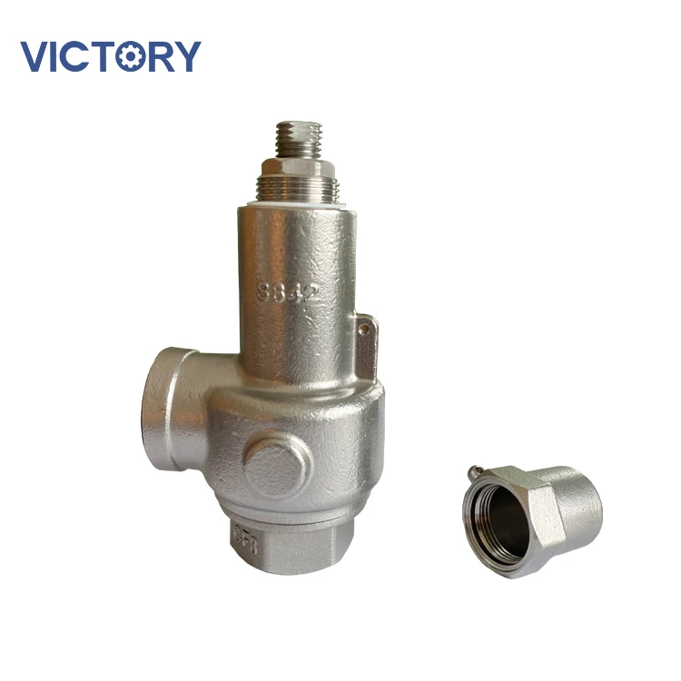 Safety Relief Valves for steam