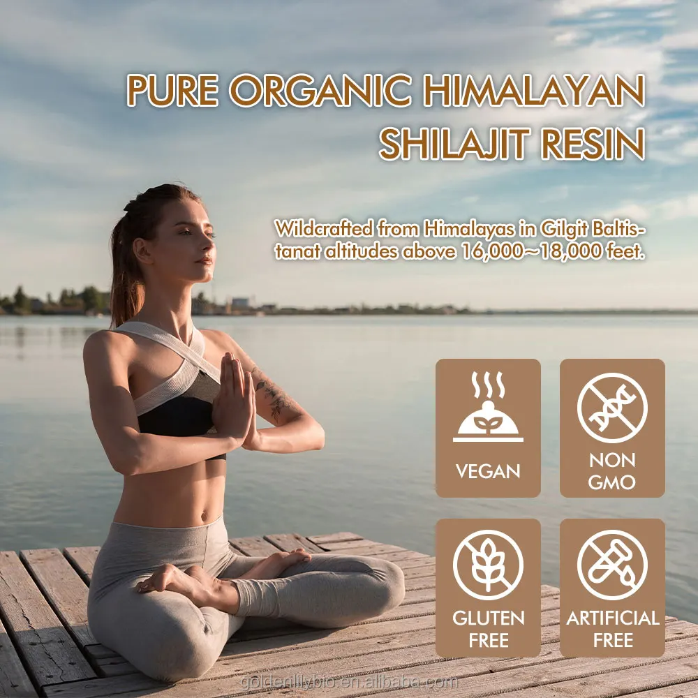 Pure Organic Shilajit Resin Energy & Immune Support Customizable Ultra-strength Shilajit with Fulvic Acid And 85+