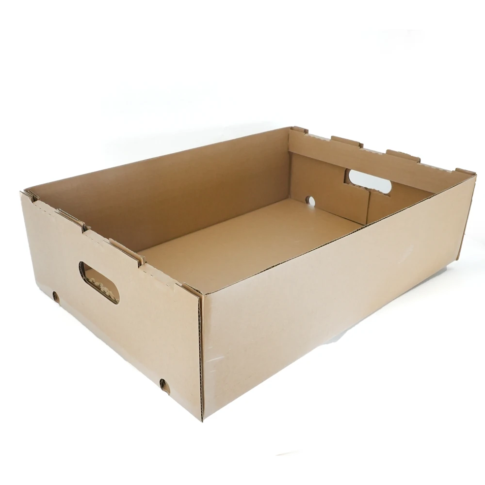 Factory Custom Fruit Shipping Box 5 Layer Corrugated Paper Box Vegetable Carton Tray Box