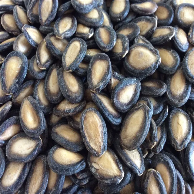 
Watermelon Seeds new crop high quality best price black White Melon watermelon seeds Good Quality Export Bulk Black Watermelon 