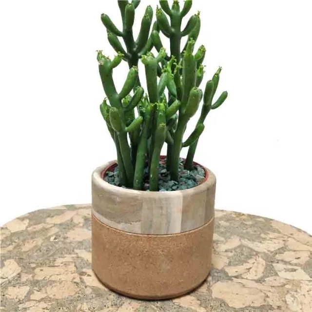 Лидер продаж набор горшков пробковый цветочный горшок различных форм один для растений суккулентов оптовая продажа