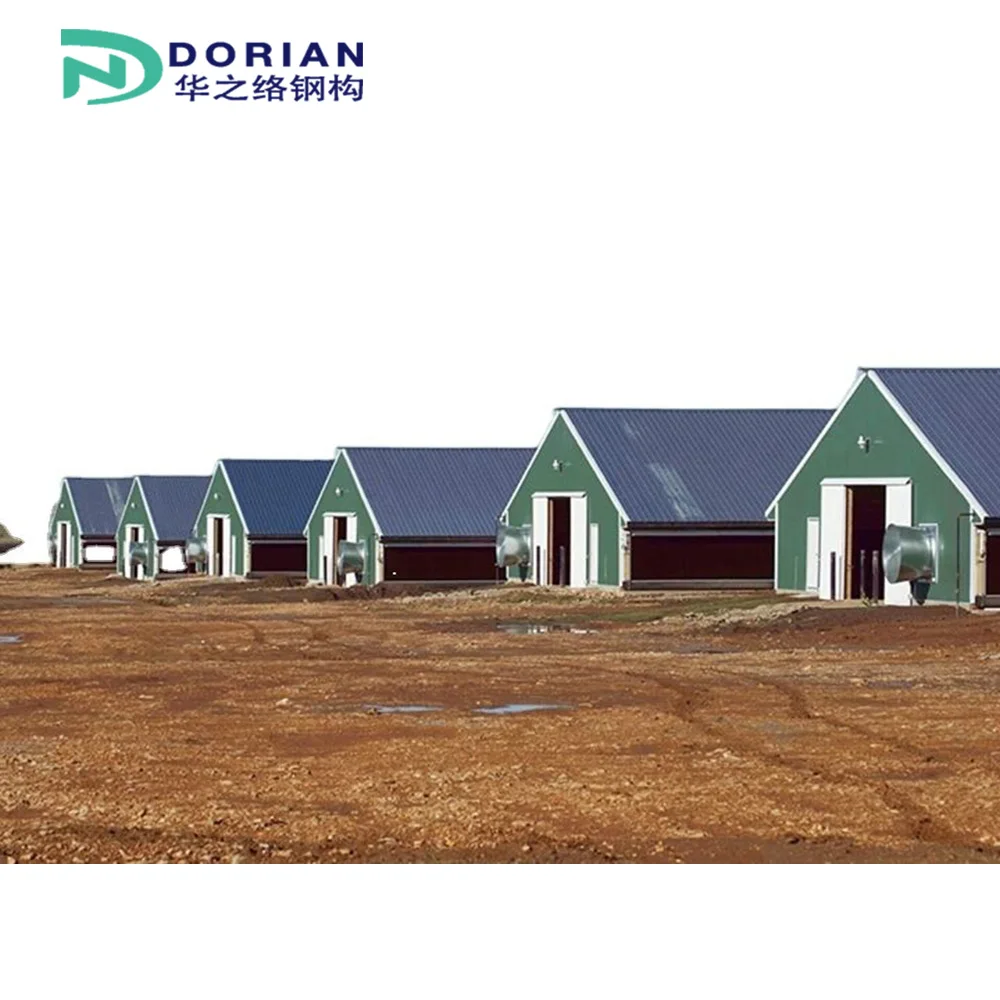 China Mainland Structural Steel Chicken Farm Metal Roofing Sheets Building Materials Construction