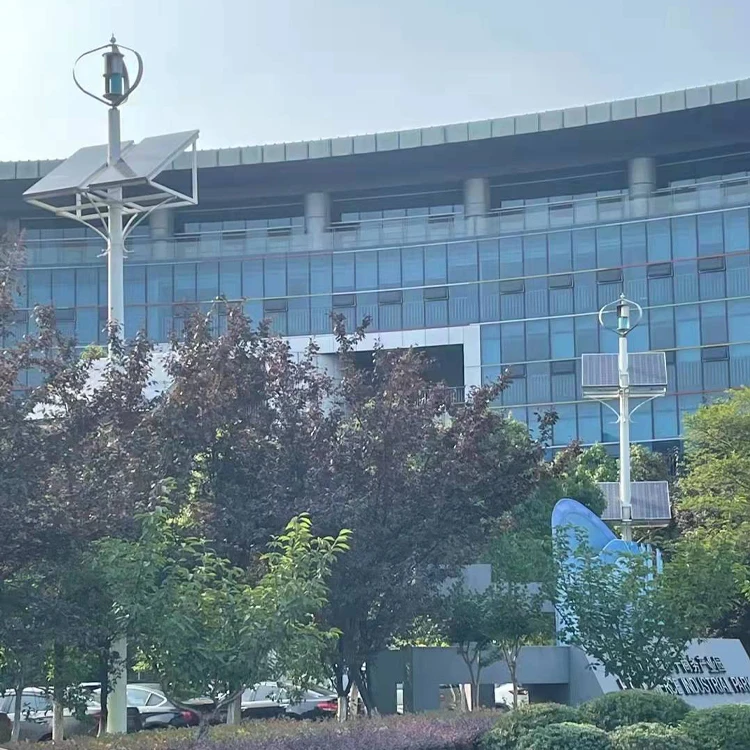 Free Energy Magnetic Generator 400W 500W 800W 1KW Generator Price Vertical Wind Turbine