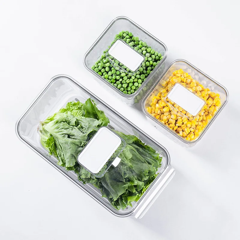 Hot Selling High Quality Competitive Durable Fresh Keeping Freeze Storage Container with Lid