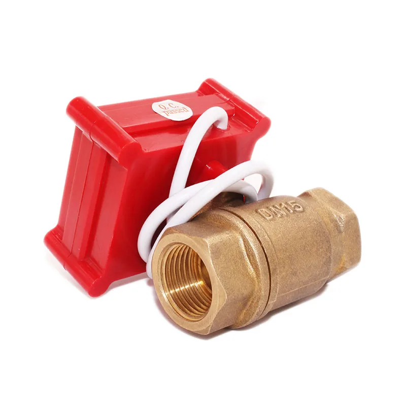 CWX Micro Valve CWX-20P-1.0B DN15 stainless steel valve 2 port valve for Heavy polluting workplaces to control flow water