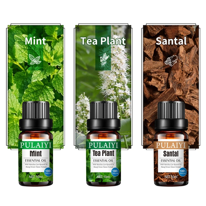 
rose diffuser oil Factory Price Wholesale private label 100% pure perfume oil gift set premium grade fragrance oil ODM OEM 