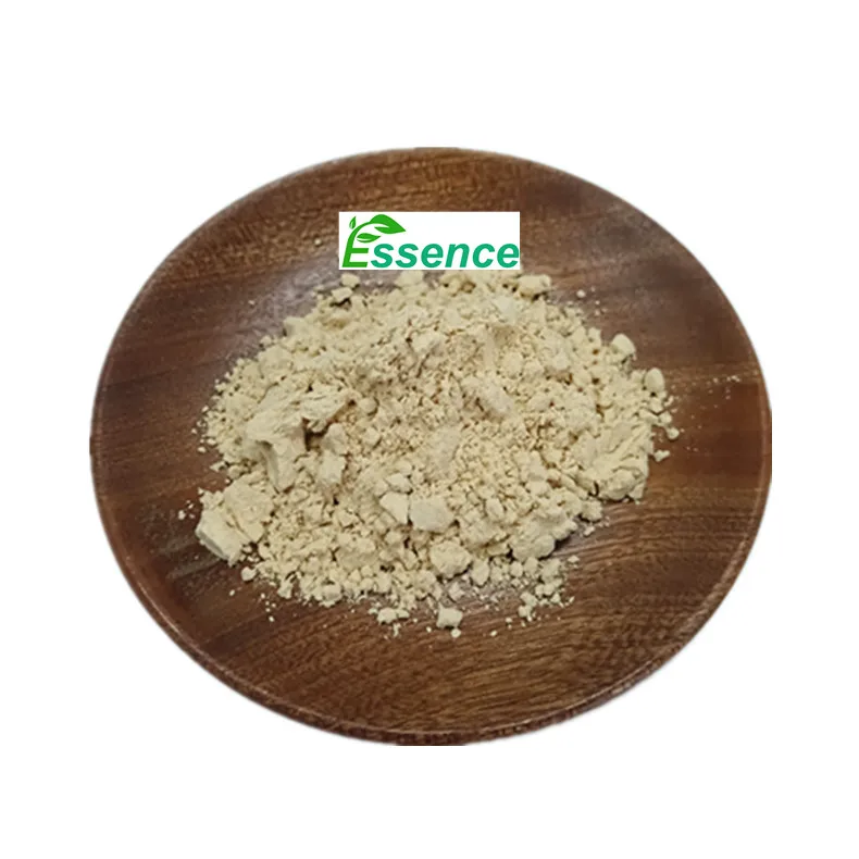 Natural Herbal Supplements Slimming Capsules Raw Material Garcinia Cambogia Extract Powder