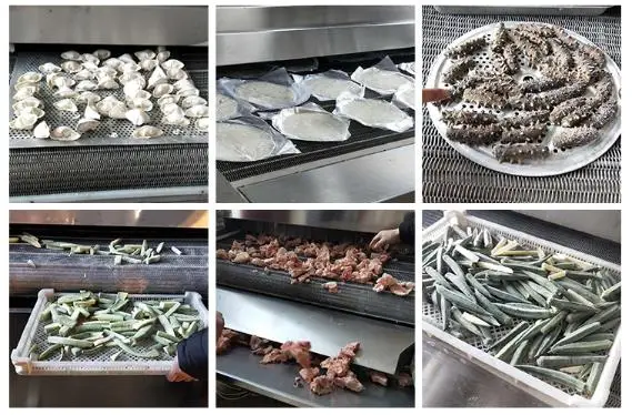 Небольшая коробка freon, криогенный контейнер IQF, индивидуальный флюидизационный кальмар, быстрый взрыв, Морозильная машина, цена