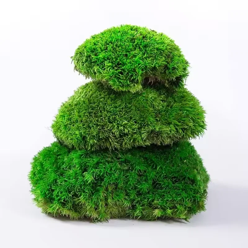 High Quality Preserved Moss Moss Wall Art Indoor And Outdoor Moss For Home And Office Decoration