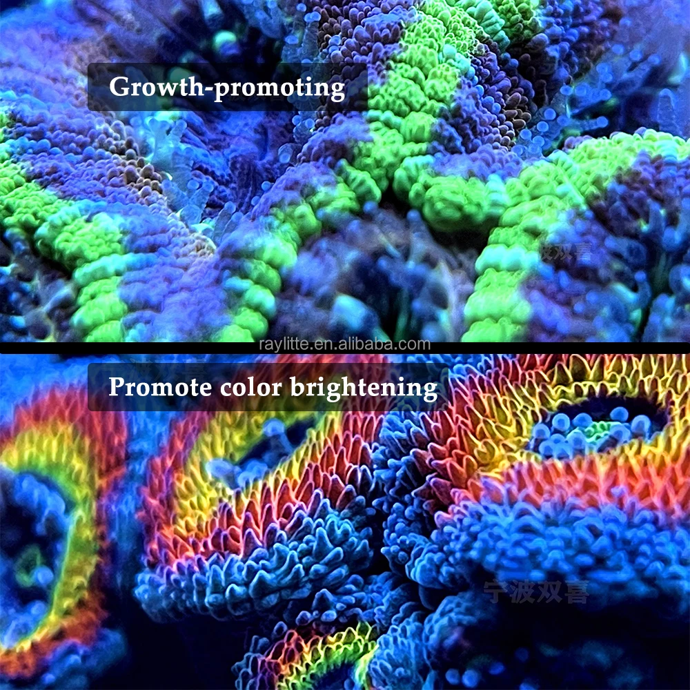 High Quality 50W Dimmable Full Spectrum Aquarium LED Light Fish Tank LED Coral Reef Decorative Light Spotlight