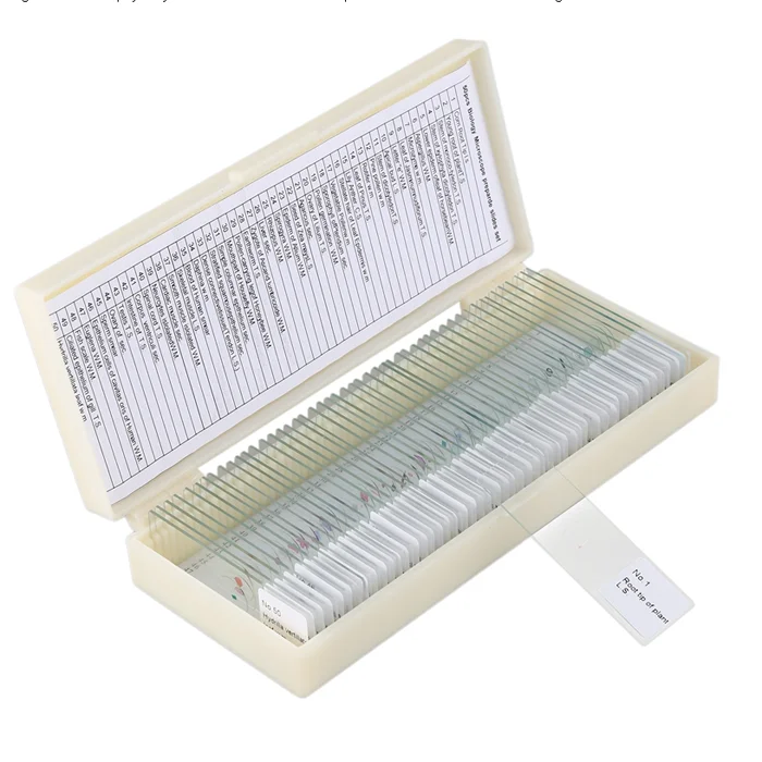 Fixed 50 Kinds Prepared Bacterial Microscope Slides For Microbiology Education