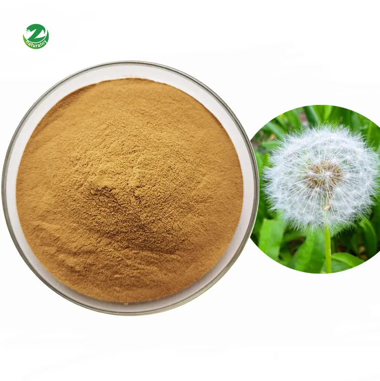 Factory Supply Factory Price  High Quality Bulk Dandelion Root Extract Flavones 5% 10%