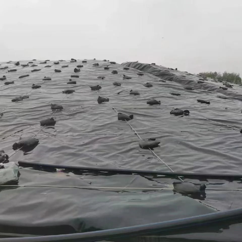 0 5 мм 1 2 hdpe гидроизоляционный лист ASTM анти-просачивающаяся мембрана брезент геомембрана