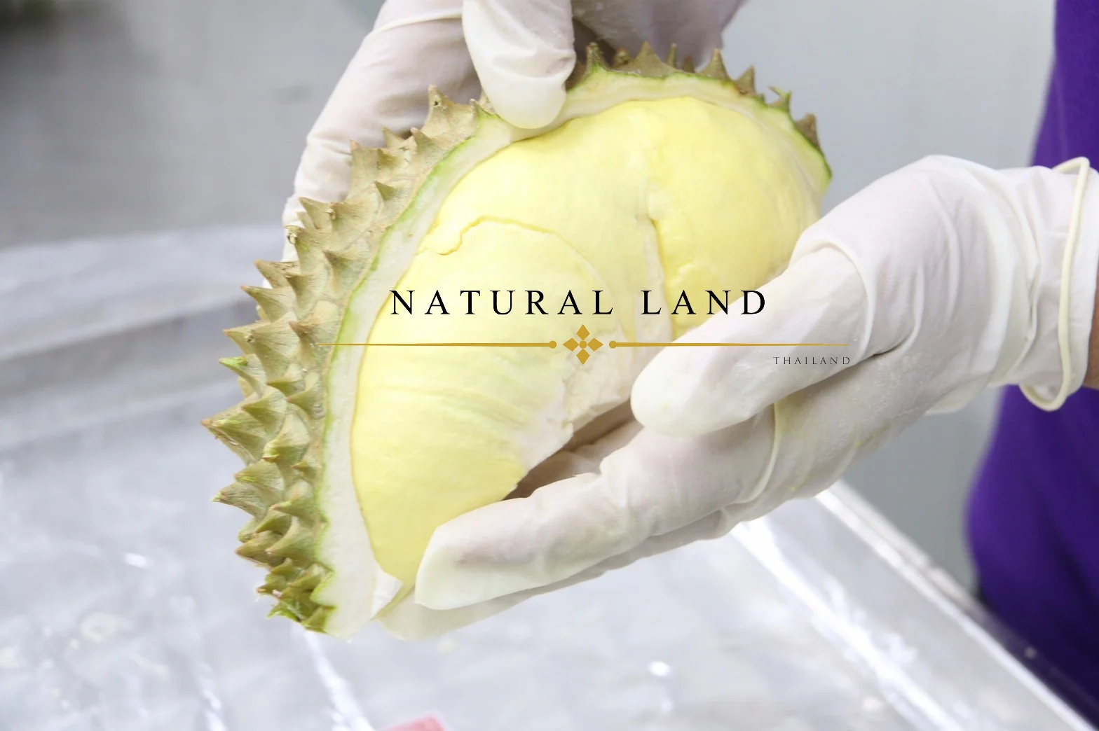 HIGH QUALITY FROZEN DURIAN MONTHONG THE GREATEST TASTE AND PREMIUM QUALITY