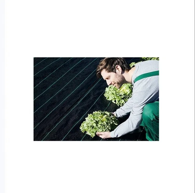 
Wholesale Biodegradable Polypropylene Weed Control Mat with UV Treated Weed barrier Landscape fabrics 