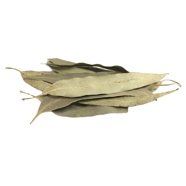 100% Pure and Organic Dried Eucalyptus Leaf Fresh Whole Herb with Oil Preserved Raw Spice Trusted Producer Drying Process AD