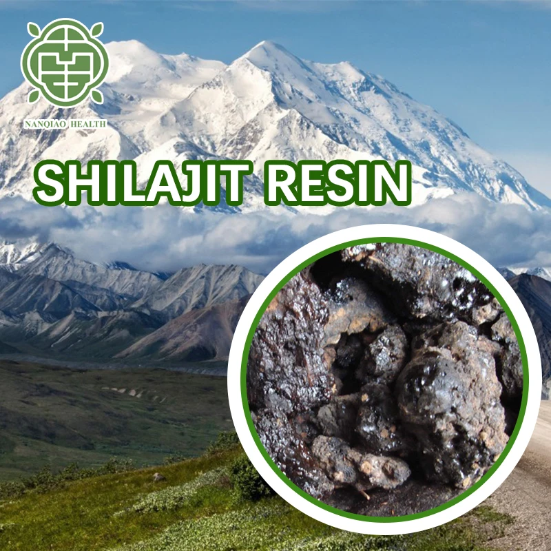 Nanqiao shilajit производитель salajit настойка