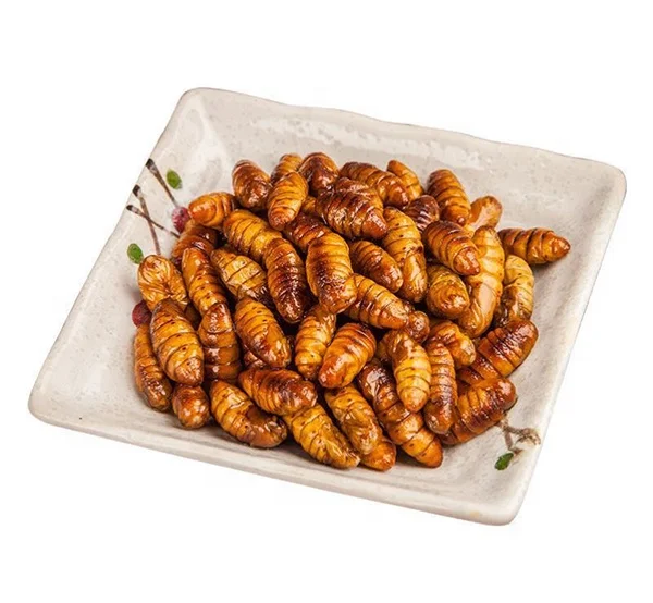 Dried Silkworm Pupae for Animal Feed