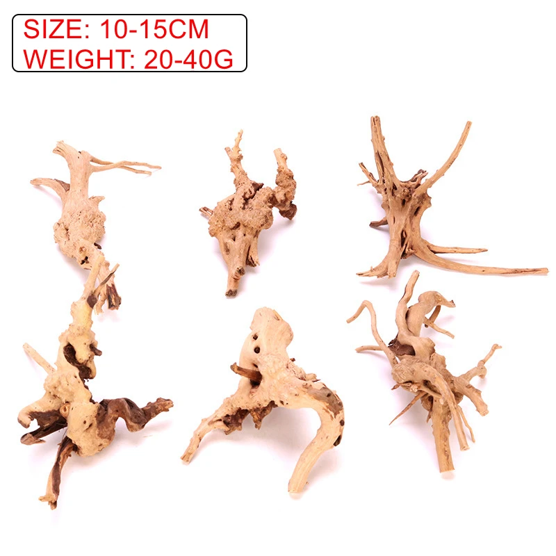 aquarium root