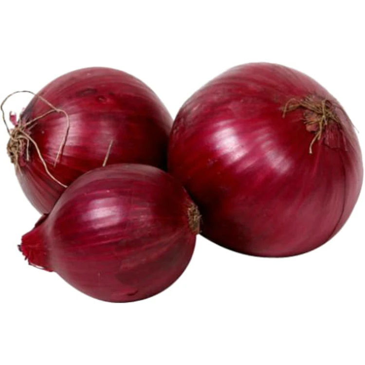 Chinese Wholesale Price Fresh Red Yellow Purple Onion, High Quality China Fresh Red Onion