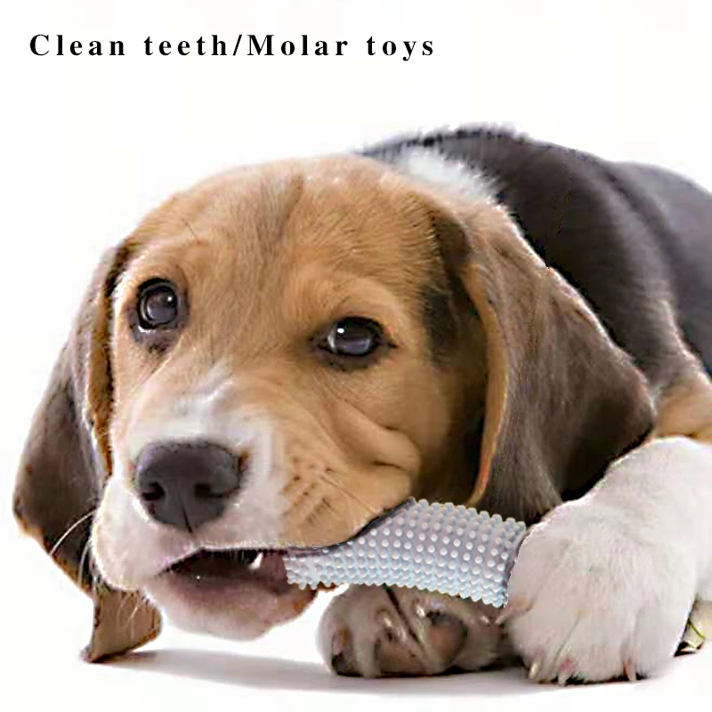 Convex Design Interactive Cleans Teeth Massages Gums Strong Chewing Hard Rubber Dog Chew Toy for Large Small Dogs