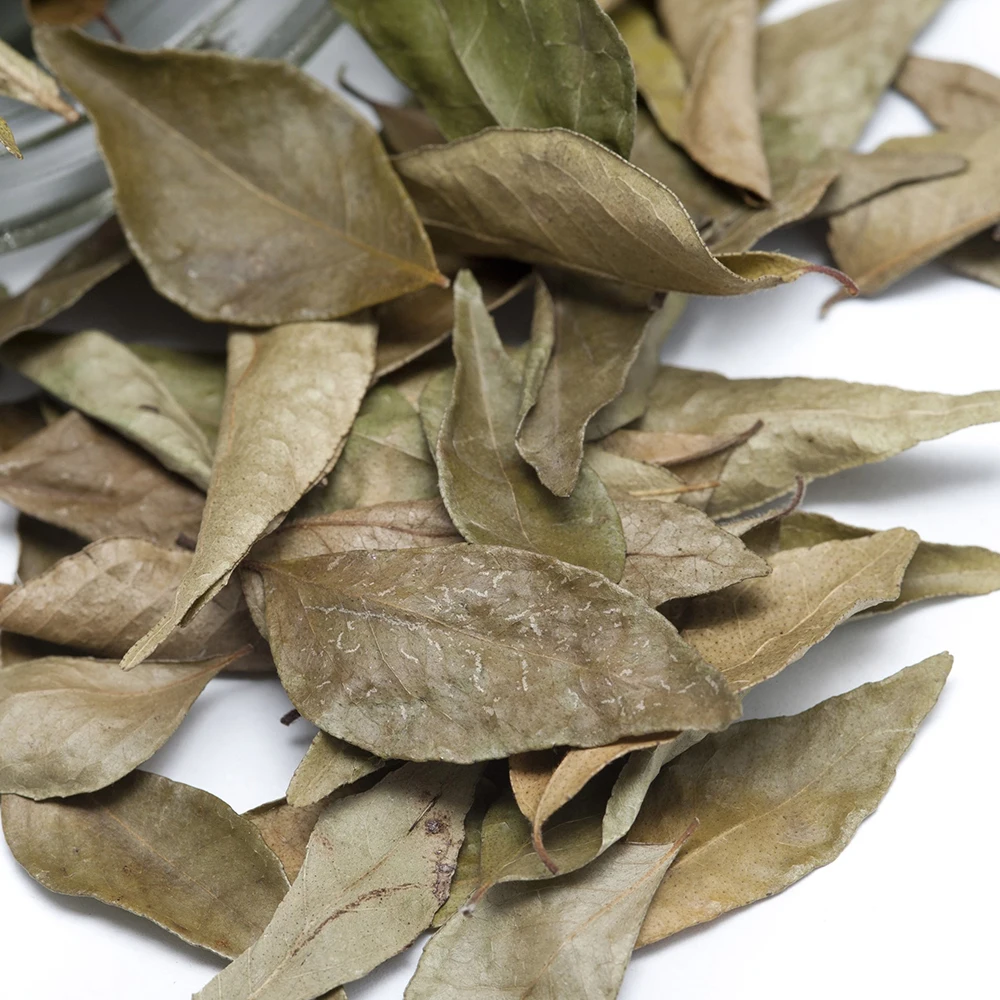 Wholesale Dried Laurel Leaves Single Herbs and Spices Dried Bay leaves