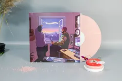 Factory Direct High Quality Records Pressing Custom Vinyl Record