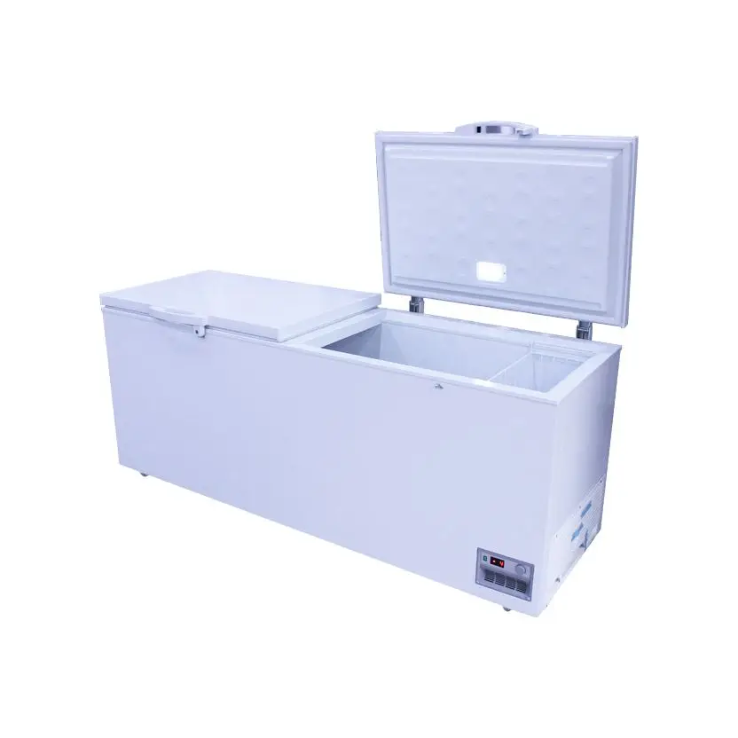 Product manufacturers direct sales Large space food storage freezers can be factory customized