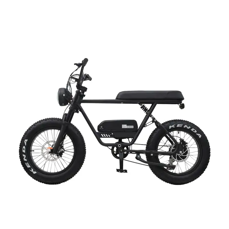 Низкая цена E Bike 1000W 48V