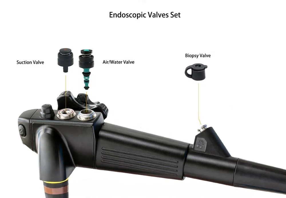 endoscopy flushing biopsy valve