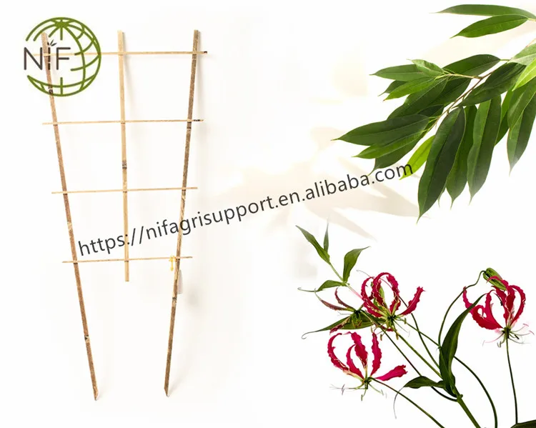 High standard multi-function purpose climbing plant support bamboo tonkin ladder bamboo trellis
