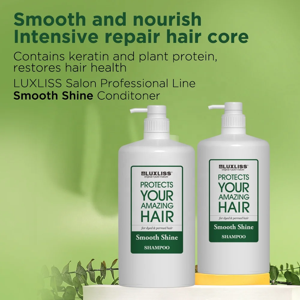 Private Label Hair Care Professional Salon 3L Natural Shampoo for Organic Argan Oil Morocco Shampoo and Conditioner