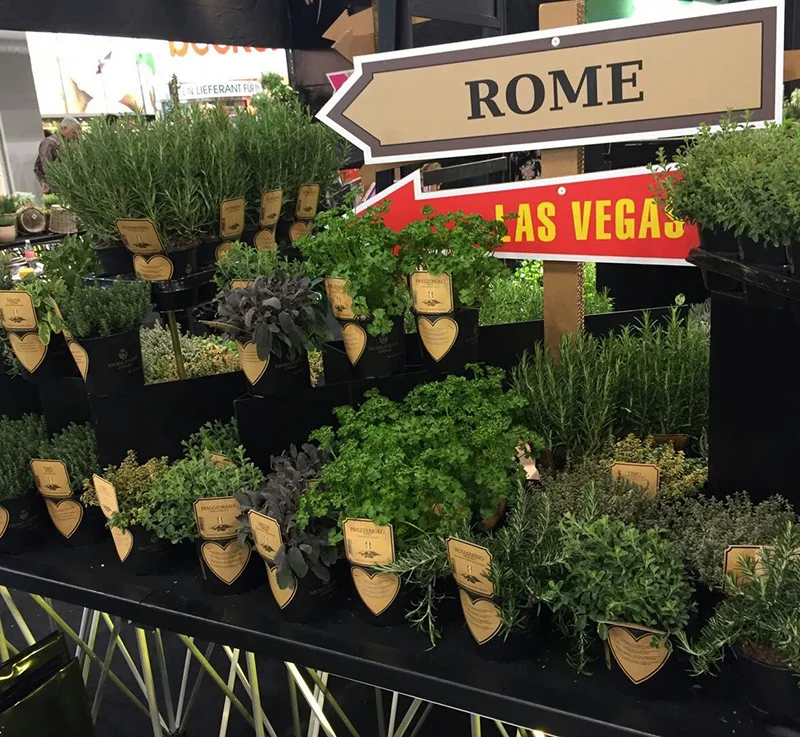 Waterproof Plastic Custom Printed CUOR DI BUE ALBENGA Chili cayenne pepper vegetable Labels for Nursery Wholesale