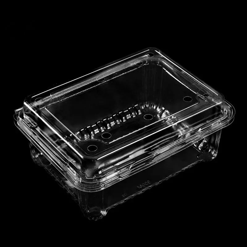 With Lid Disposable plastic bowl Box clear salad Trays Disposable Clear Plastic Clamshell Food Container