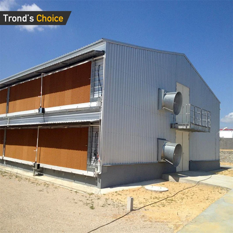 Commercial Steel Structure Chicken Houses Professional Design Of Chicken Coops 1000 Chicken