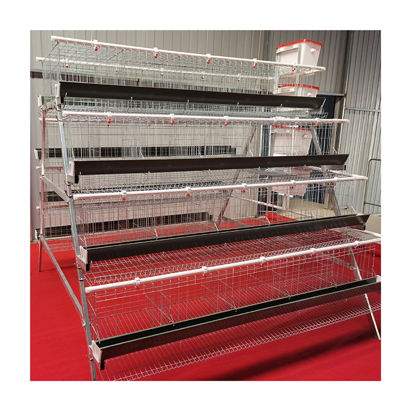 Modern Chicken Farm Design for Automatic Poultry Equipment/H type layer animal bird cage reptile glass decoration wedding