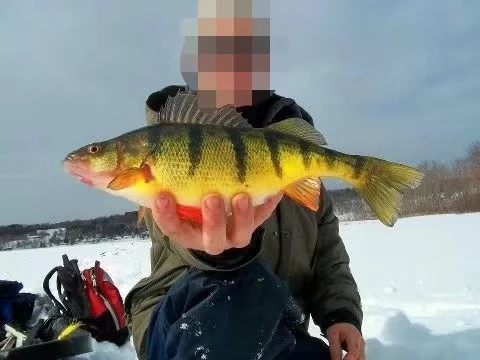 Катушка для зимнего плота 40/50/60 мм