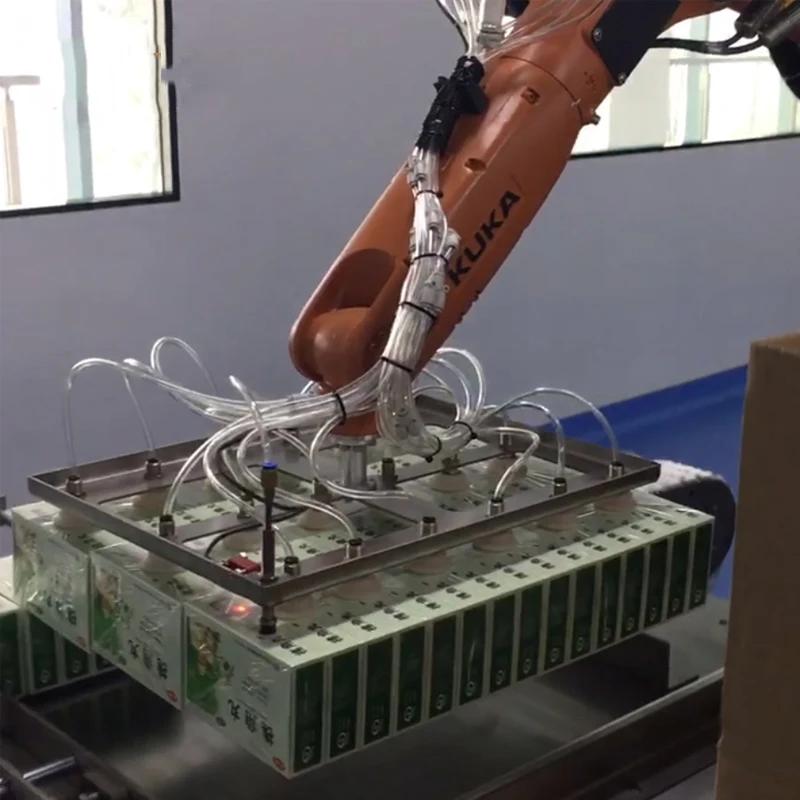 Robot Case Packer For Secondary Packaging Solution