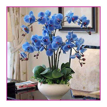 Lusiaflower настоящие на ощупь шелковые искусственные орхидеи цветы для
